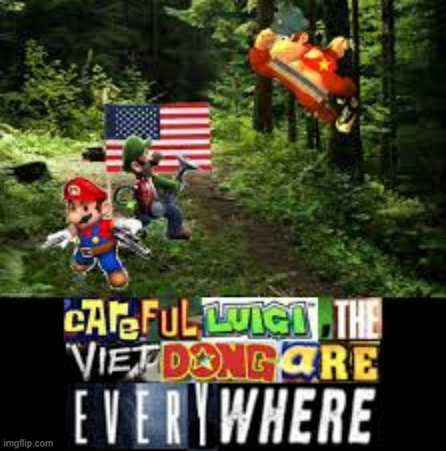 Careful luigi the vietdong are everywhere | image tagged in expand dong,mario,luigi,memes,funny | made w/ Imgflip meme maker