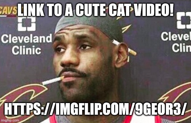 Lebron cigarette  | LINK TO A CUTE CAT VIDEO! HTTPS://IMGFLIP.COM/9GEOR3/ | image tagged in lebron cigarette | made w/ Imgflip meme maker