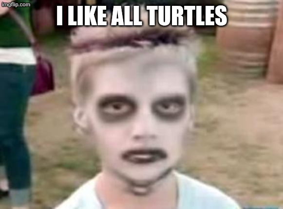 I like turtles | I LIKE ALL TURTLES | image tagged in i like turtles | made w/ Imgflip meme maker