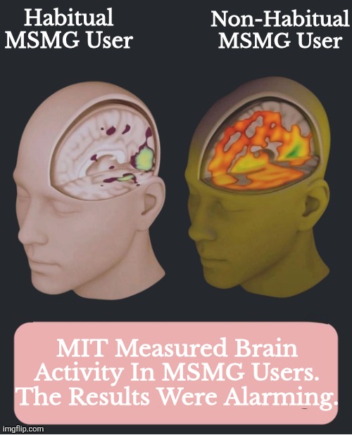 Non-Habitual MSMG User; Habitual MSMG User; MIT Measured Brain Activity In MSMG Users. The Results Were Alarming. | made w/ Imgflip meme maker