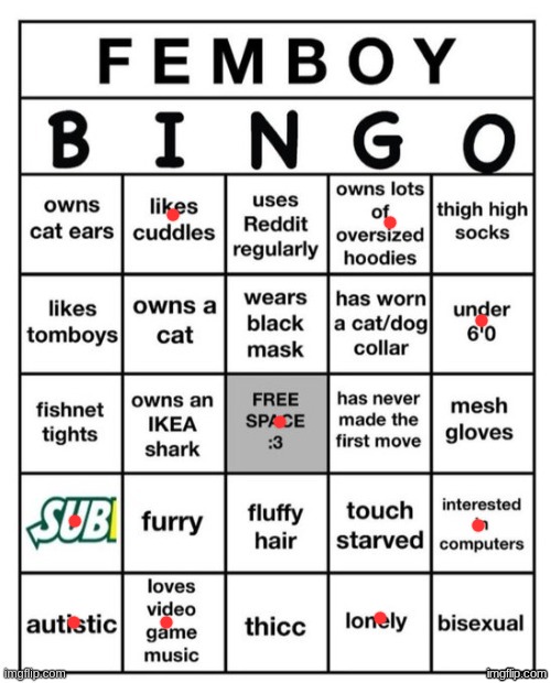 Femboy Bingo | image tagged in femboy bingo | made w/ Imgflip meme maker