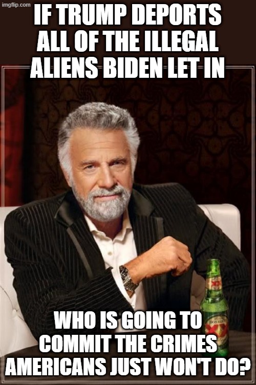 The pressing questions keeping me up at night... | IF TRUMP DEPORTS ALL OF THE ILLEGAL ALIENS BIDEN LET IN; WHO IS GOING TO COMMIT THE CRIMES AMERICANS JUST WON'T DO? | image tagged in memes,the most interesting man in the world | made w/ Imgflip meme maker