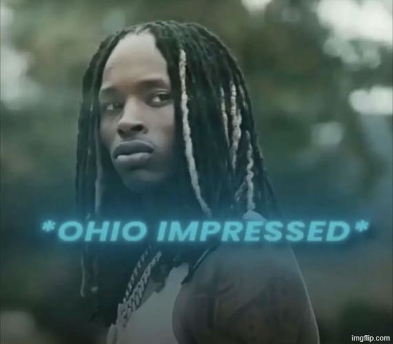 Ohio impressed | image tagged in ohio impressed | made w/ Imgflip meme maker