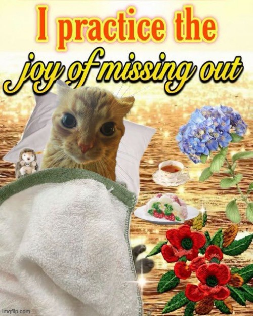 titlecat /ᐠ-ꞈ-ᐟ\ | image tagged in rmk | made w/ Imgflip meme maker