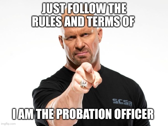Bald tough guy pointing at you | JUST FOLLOW THE RULES AND TERMS OF I AM THE PROBATION OFFICER | image tagged in bald tough guy pointing at you | made w/ Imgflip meme maker