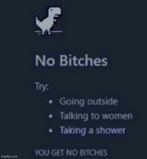 no bitches | image tagged in no bitches | made w/ Imgflip meme maker