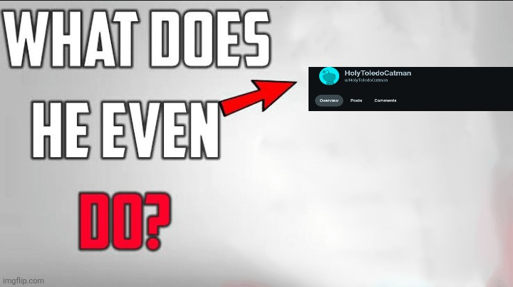 What Does He Even Do Blank Template | image tagged in what does he even do blank template | made w/ Imgflip meme maker