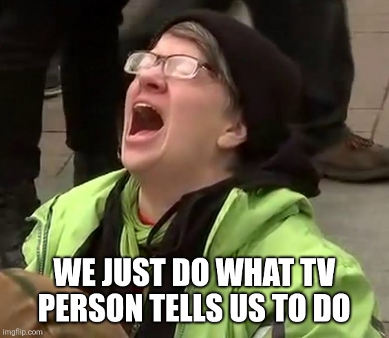 Crying liberal | WE JUST DO WHAT TV PERSON TELLS US TO DO | image tagged in crying liberal | made w/ Imgflip meme maker
