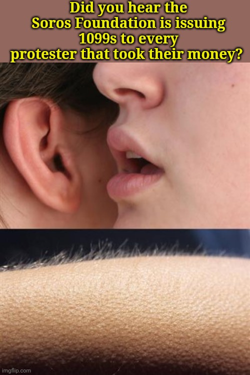 Of course, they're NOT... But isn't it nice to dream? | Did you hear the Soros Foundation is issuing 1099s to every protester that took their money? | image tagged in whisper goose bumps | made w/ Imgflip meme maker