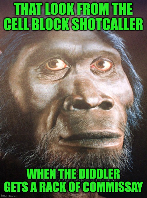 Funny | THAT LOOK FROM THE CELL BLOCK SHOTCALLER; WHEN THE DIDDLER GETS A RACK OF COMMISSAY | image tagged in diddy rap,p diddy,snacks,that look,shot,call | made w/ Imgflip meme maker