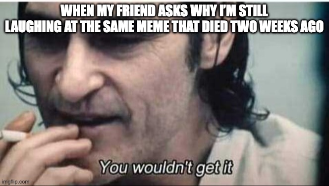 You wouldn't get it | WHEN MY FRIEND ASKS WHY I’M STILL LAUGHING AT THE SAME MEME THAT DIED TWO WEEKS AGO | image tagged in you wouldn't get it | made w/ Imgflip meme maker