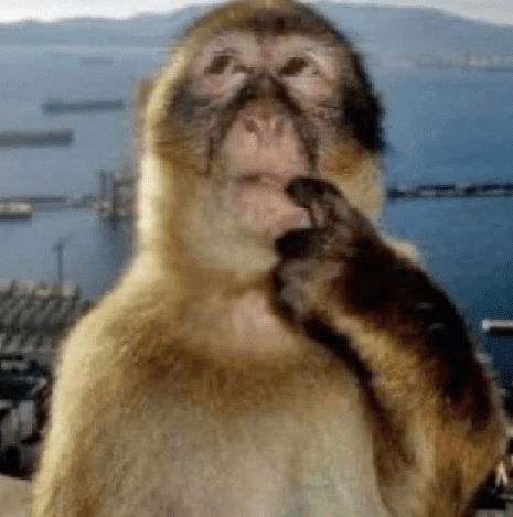 Thinking Blank Meme Template