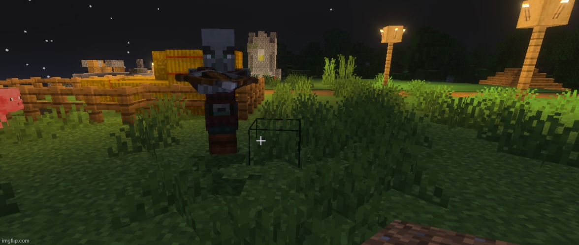 Pillager | image tagged in pillager | made w/ Imgflip meme maker