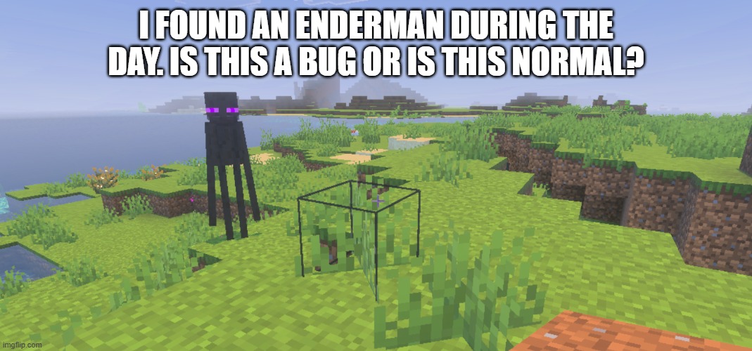 Enderman | I FOUND AN ENDERMAN DURING THE DAY. IS THIS A BUG OR IS THIS NORMAL? | image tagged in enderman during the day | made w/ Imgflip meme maker