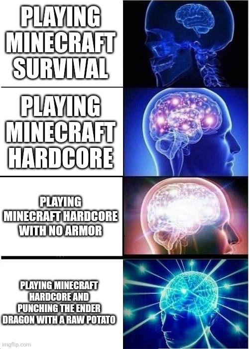 Minecraft hardcore logic | PLAYING MINECRAFT SURVIVAL; PLAYING MINECRAFT HARDCORE; PLAYING MINECRAFT HARDCORE WITH NO ARMOR; PLAYING MINECRAFT HARDCORE AND PUNCHING THE ENDER DRAGON WITH A RAW POTATO | image tagged in memes,expanding brain | made w/ Imgflip meme maker