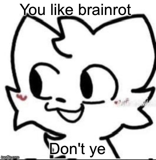boykisser | You like brainrot Don't ye | image tagged in boykisser | made w/ Imgflip meme maker