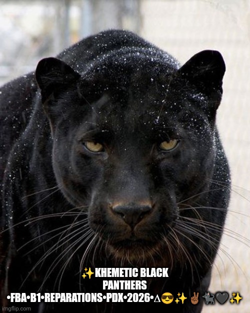 Black Panthers 2026+ | ✨KHEMETIC BLACK PANTHERS •FBA•B1•REPARATIONS•PDX•2026•∆😎✨✌🏾🐈‍⬛🖤✨ | image tagged in black panther | made w/ Imgflip meme maker