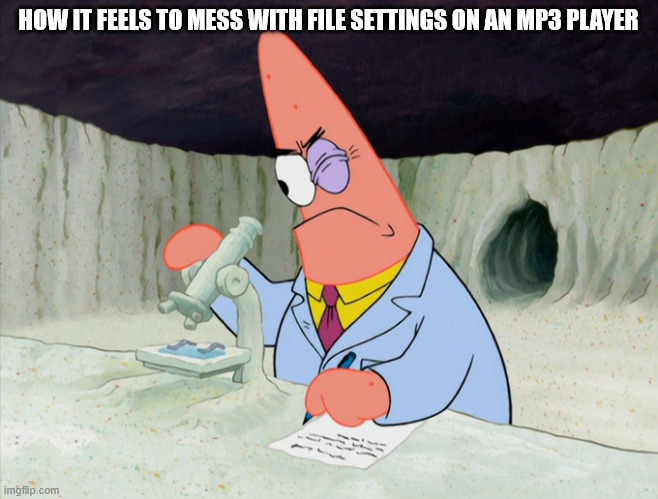 And yet I still can't find where it's hiding those golist things | HOW IT FEELS TO MESS WITH FILE SETTINGS ON AN MP3 PLAYER | image tagged in scientific patrick | made w/ Imgflip meme maker