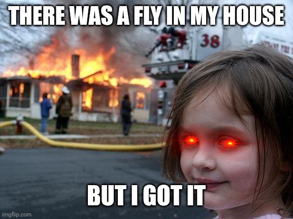 Am I evil? | THERE WAS A FLY IN MY HOUSE; BUT I GOT IT | image tagged in memes,disaster girl | made w/ Imgflip meme maker