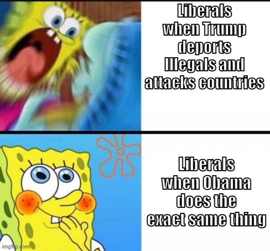 The double standards bro | Liberals when Trump deports Illegals and attacks countries; Liberals when Obama does the exact same thing | image tagged in screaming spongebob vs quiet spongebob,memes,obama,trump,politics,why are you reading the tags | made w/ Imgflip meme maker