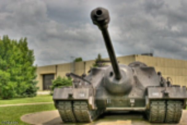 tutel :D | image tagged in tutel d | made w/ Imgflip meme maker