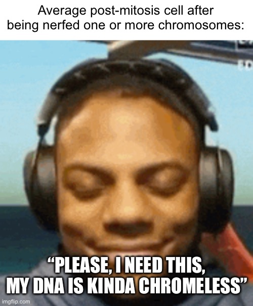 How do I split again? | Average post-mitosis cell after being nerfed one or more chromosomes:; “PLEASE, I NEED THIS, MY DNA IS KINDA CHROMELESS” | image tagged in ishowspeed smirk,biology,science | made w/ Imgflip meme maker