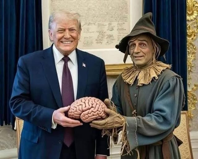 Donald Trump Scarecrow Brain Medal Awards Flattery Narcissistic Blank Meme Template