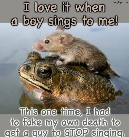 I love it when a boy sings to me! This one time, I had to fake my own death to get a guy to STOP singing. | made w/ Imgflip meme maker