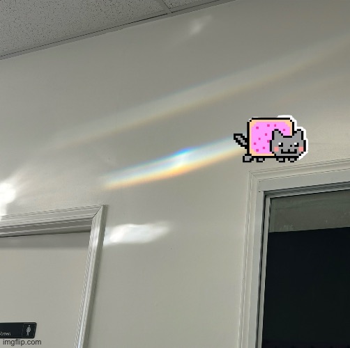 image tagged in nyan cat | made w/ Imgflip meme maker