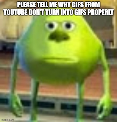 I'm sick of having to scrap great memes because of this | PLEASE TELL ME WHY GIFS FROM YOUTUBE DON'T TURN INTO GIFS PROPERLY | image tagged in sully wazowski,imgflip,memes,gifs,youtube,please help me | made w/ Imgflip meme maker