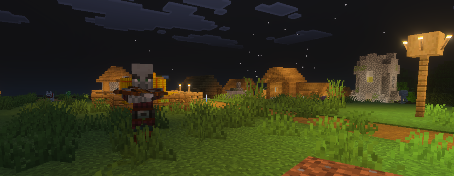 Pillager Blank Meme Template