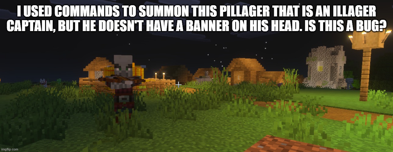 Pillager | I USED COMMANDS TO SUMMON THIS PILLAGER THAT IS AN ILLAGER CAPTAIN, BUT HE DOESN'T HAVE A BANNER ON HIS HEAD. IS THIS A BUG? | image tagged in pillager | made w/ Imgflip meme maker