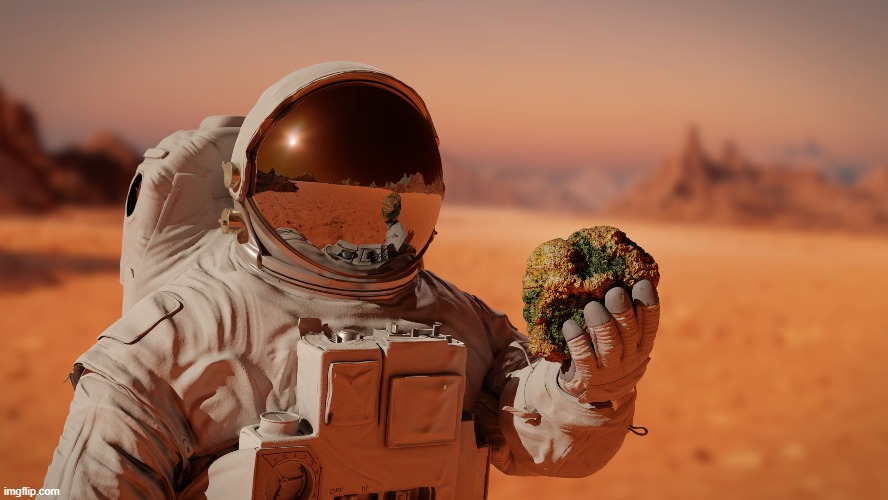 Artemis lunar lander for resource missions