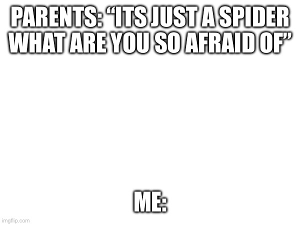 PARENTS: “ITS JUST A SPIDER WHAT ARE YOU SO AFRAID OF” ME: | made w/ Imgflip meme maker