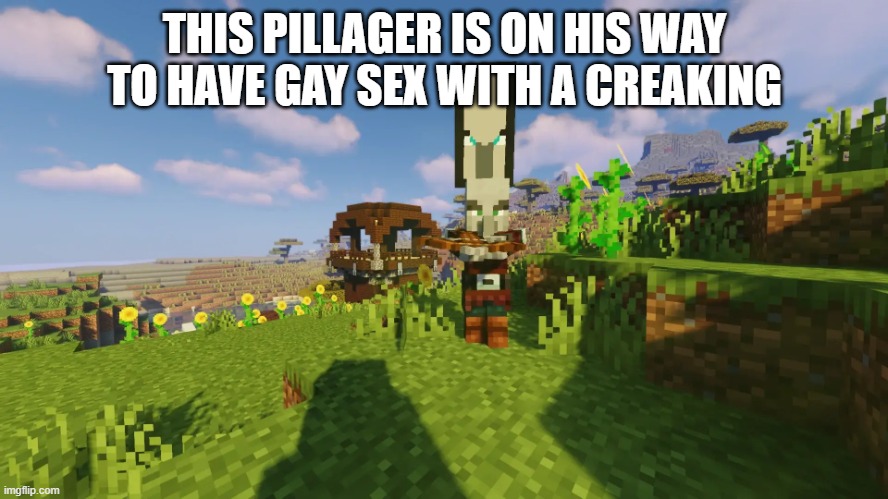 Pillager That Is An Illager Captain | THIS PILLAGER IS ON HIS WAY TO HAVE GAY SEX WITH A CREAKING | image tagged in pillager that is an illager captain | made w/ Imgflip meme maker