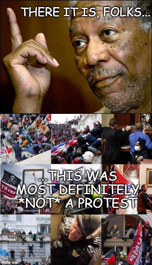 THERE IT IS, FOLKS... ...THIS WAS MOST DEFINITELY *NOT* A PROTEST | image tagged in this morgan freeman,never forget 1/6/2021 | made w/ Imgflip meme maker