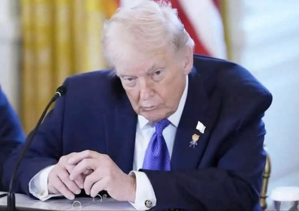 Sad donnie Blank Meme Template