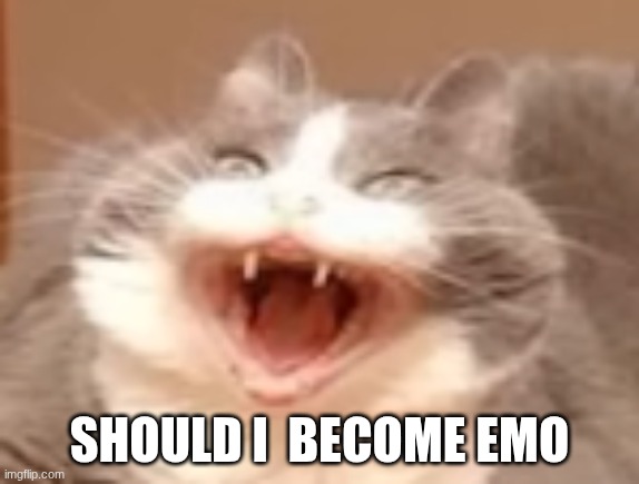 cat | SHOULD I  BECOME EMO | image tagged in cat | made w/ Imgflip meme maker