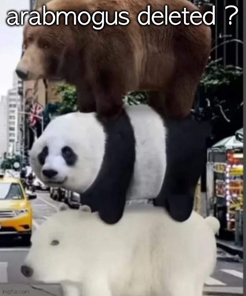 real we bare bears | arabmogus deleted ? | image tagged in real we bare bears | made w/ Imgflip meme maker