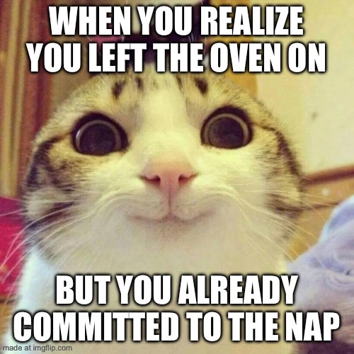 WHEN YOU REALIZE YOU LEFT THE OVEN ON; BUT YOU ALREADY COMMITTED TO THE NAP | WHEN YOU REALIZE YOU LEFT THE OVEN ON; BUT YOU ALREADY COMMITTED TO THE NAP | image tagged in memes,smiling cat,oven,microwave,food,nap | made w/ Imgflip meme maker