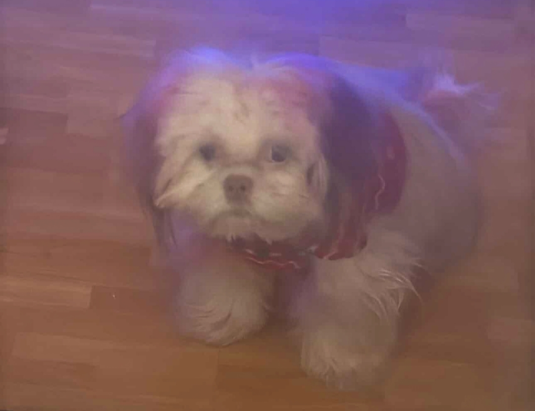 I've seen some shit Blank Meme Template