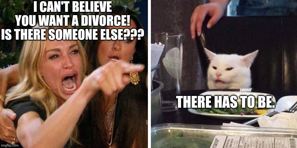 Smudge that darn cat with Karen | I CAN'T BELIEVE YOU WANT A DIVORCE! IS THERE SOMEONE ELSE??? THERE HAS TO BE. | image tagged in smudge that darn cat with karen | made w/ Imgflip meme maker