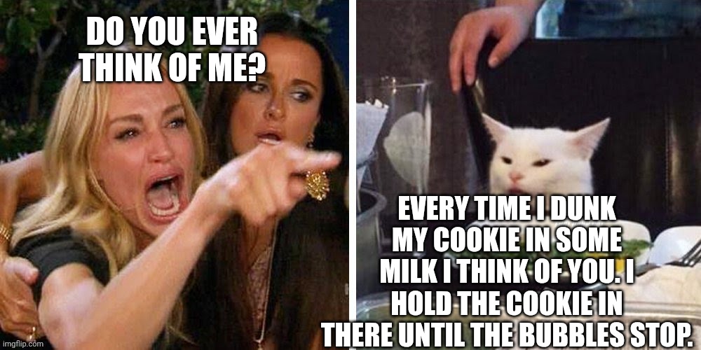 Smudge that darn cat with Karen | DO YOU EVER THINK OF ME? EVERY TIME I DUNK MY COOKIE IN SOME MILK I THINK OF YOU. I HOLD THE COOKIE IN THERE UNTIL THE BUBBLES STOP. | image tagged in smudge that darn cat with karen | made w/ Imgflip meme maker