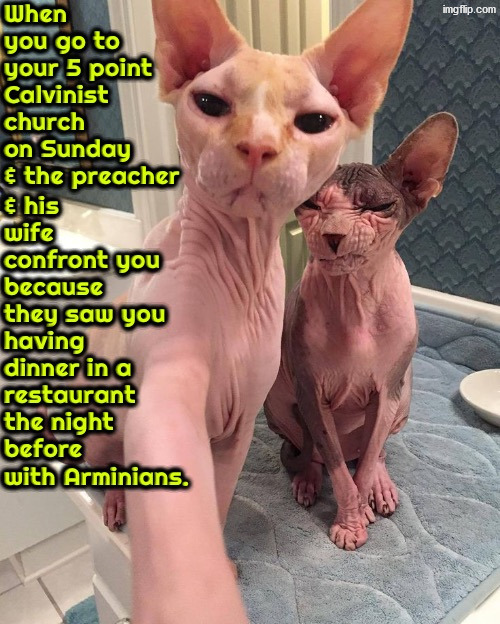 The Unpardonable Sin | image tagged in calvinist memes,calvinism,anti calvinism,reformed theology,unpardonable sin,cats | made w/ Imgflip meme maker