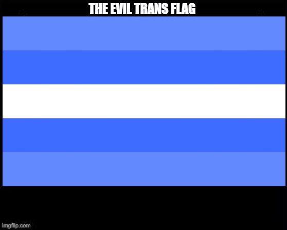 the evil trans flag | THE EVIL TRANS FLAG | image tagged in black box meme,transgender,transphobic,trans,transgender bathroom,transformers | made w/ Imgflip meme maker