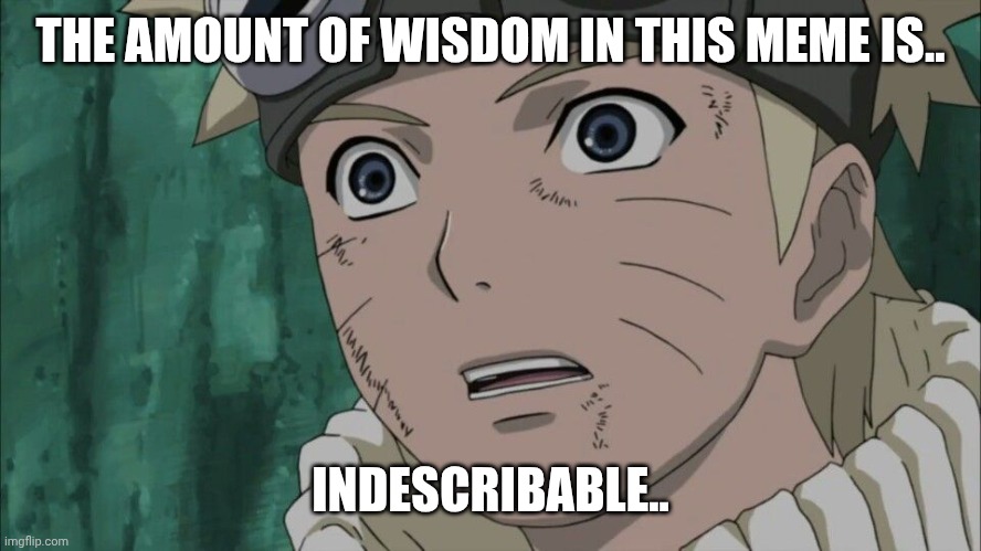 Shocked Naruto | THE AMOUNT OF WISDOM IN THIS MEME IS.. INDESCRIBABLE.. | image tagged in shocked naruto | made w/ Imgflip meme maker