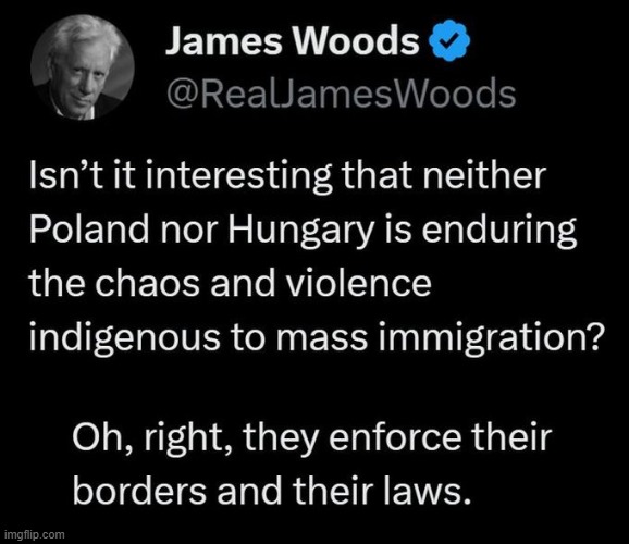 Open borders = death to a nation | image tagged in james woods,common sense,open borders,chaos,liberalism | made w/ Imgflip meme maker