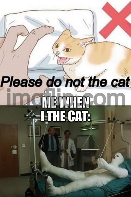 ME WHEN I THE CAT: | image tagged in please do not the cat,terence hill gipsz full body injury hospital | made w/ Imgflip meme maker