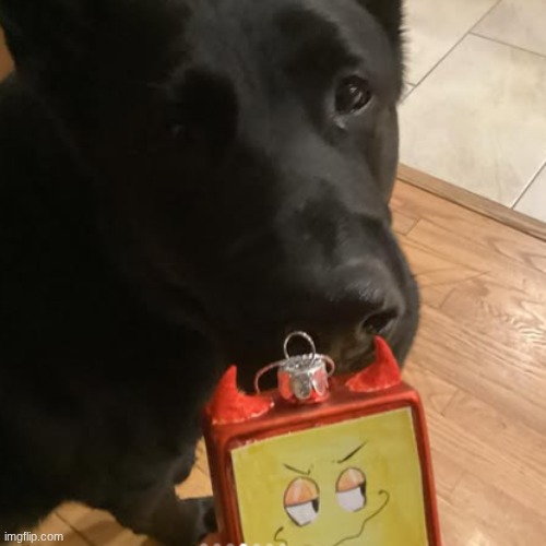 i think my dog likes edgar | made w/ Imgflip meme maker