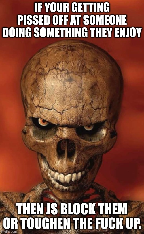 the foxyverse shit is just an excuse for me to practice my story building skills so stfu or use that trusty block button | IF YOUR GETTING PISSED OFF AT SOMEONE DOING SOMETHING THEY ENJOY; THEN JS BLOCK THEM OR TOUGHEN THE FUCK UP. | image tagged in staring skeleton | made w/ Imgflip meme maker